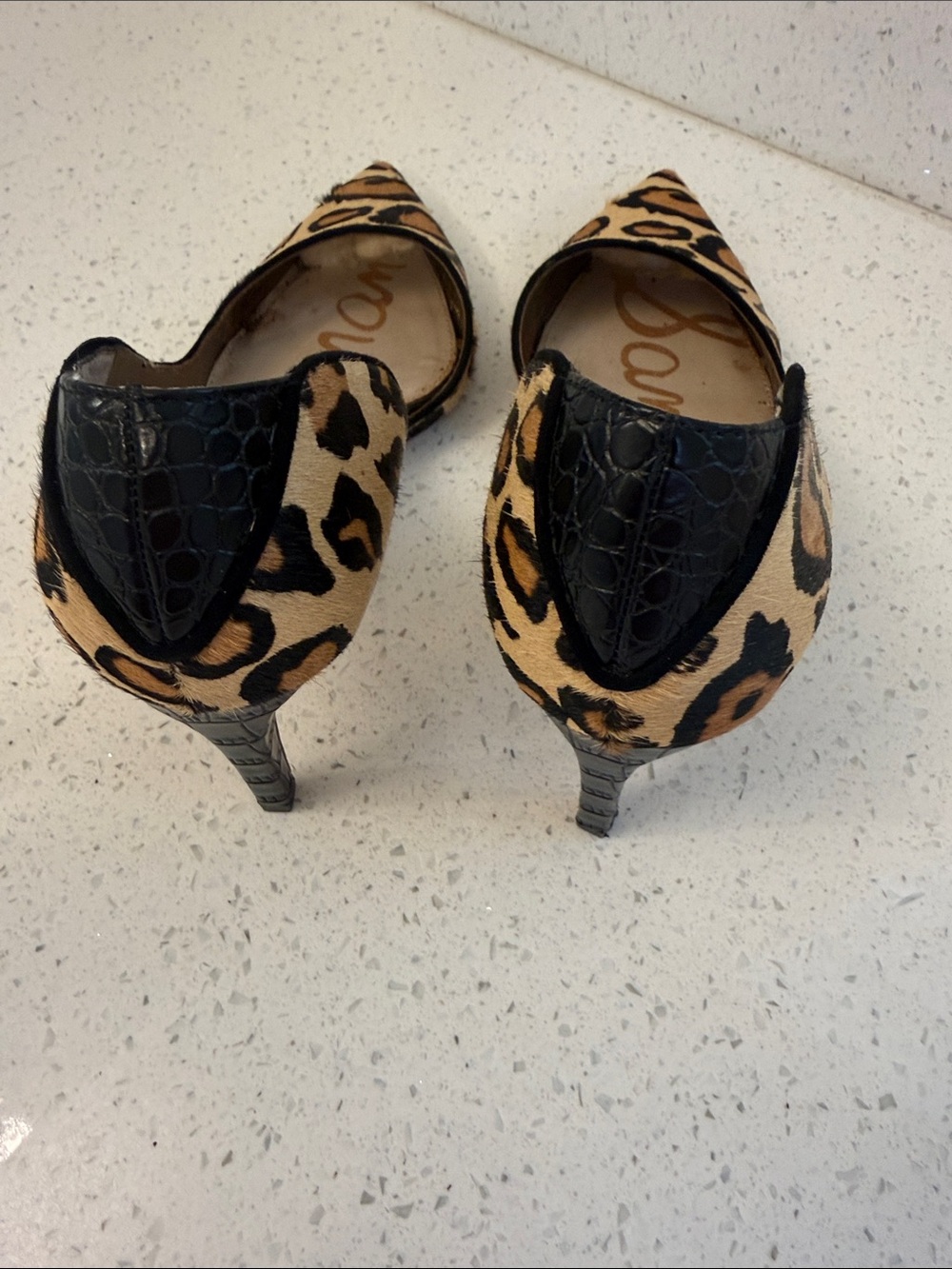 Sam Edelman Leopard-Print Pointed Toe Pumps - Tan & Black - Picture 4 of 5